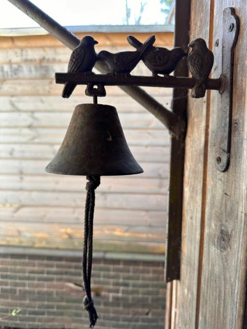 Пробапера. Трудности поиска, обманутые ожидания, терзания и муки выбора позади …. 01