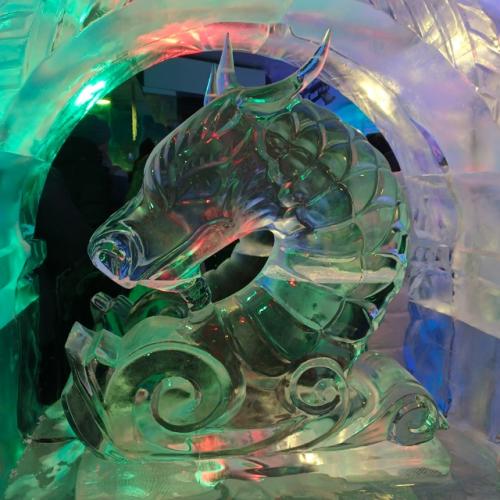 Моя экскурсия у снегурочки продолжилась - ледяной комнатой ( Морозная Экскурсия), принимающая гостей круглый год. 09