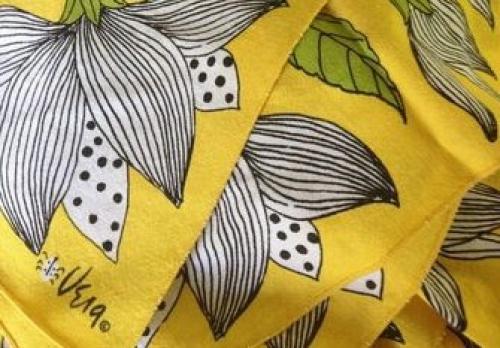 Салют, Вера!  Словно нарисованная детской рукой божья коровка и небрежный курсив - Vera. 01