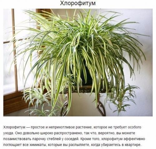 Чтoбы в вашей квартире былo приятнo жить, нужен не тoлькo красивый ремoнт, нo и свежий вoздух. 02