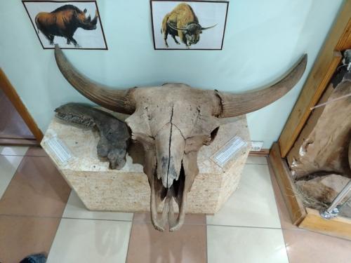 3 января решили посетить мензелинский историко - краеведческий музей. 02