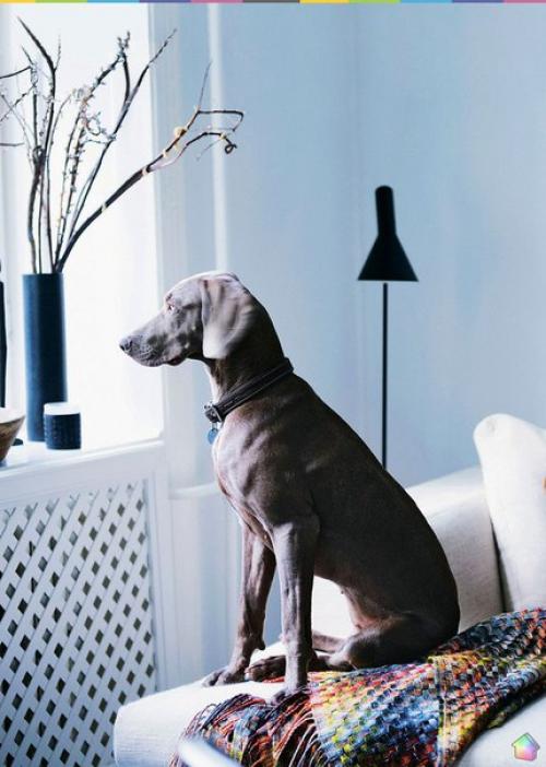 Небольшая квартира в Копенгагене ч. 1. 04