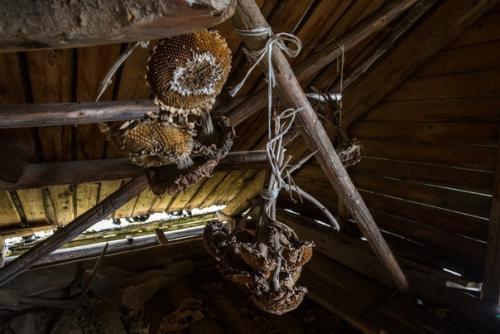 Прямаяречь.  Даниил Зинченко - о прогулке по заброшенной деревне выставка: 04