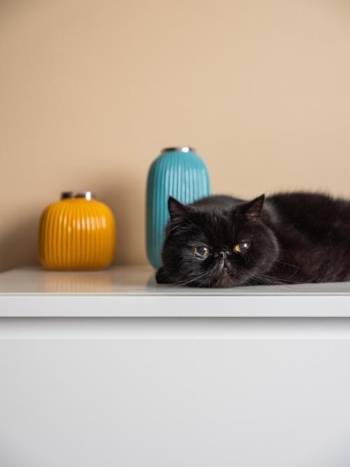 Отличный пример разделения пространства комнаты на две функциональные зоны - спальню и гостиную. 06