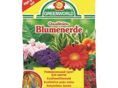 Белопероне: уход за Мексиканской Красавицей в домашних условиях. 07