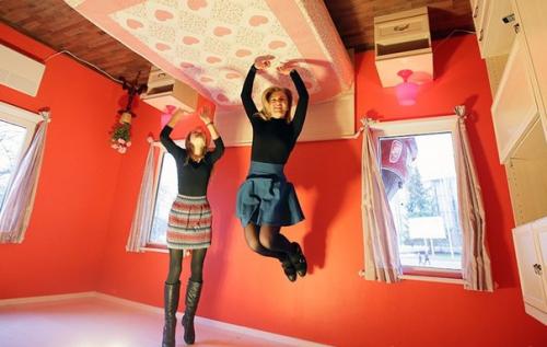 Дом - перевёртыш на Вднх. 02