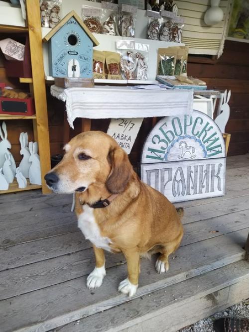 Второй день в псковском крае. 03