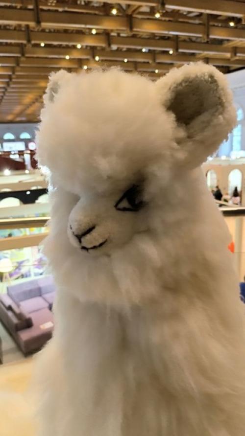 В центральном выставочном зале Манеж проходит московская неделя интерьера и дизайна. 02