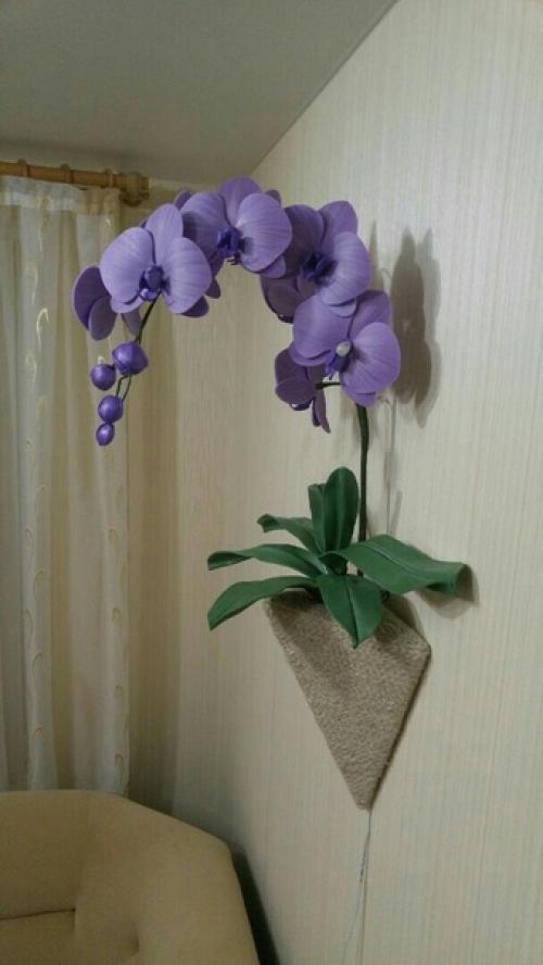 В вашей квартире нет места для больших цветов думаете? 01