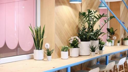 7 кафе, открывшихся в сентябре. 01