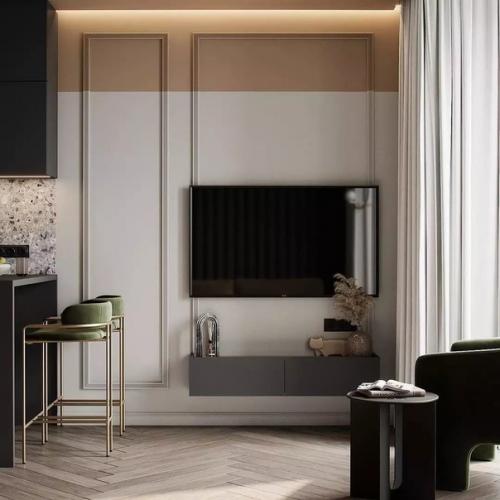 Кухня - гостиная 17 м 2. 08