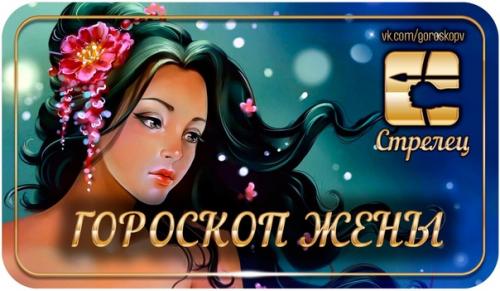 Стрелец - амазонка в домашнем интерьере.