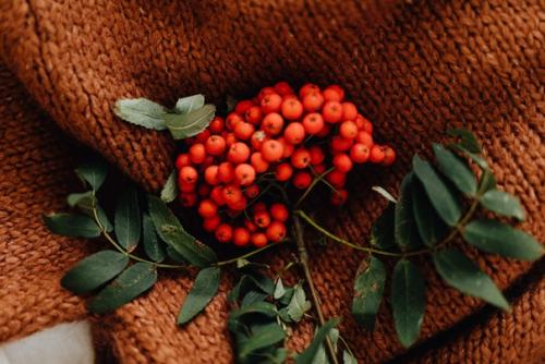 Мы все хотим, чтобы нас баловали мужчины, баловала жизнь. 04 Мы все хотим, чтобы нас баловали мужчины, баловала жизнь. 04