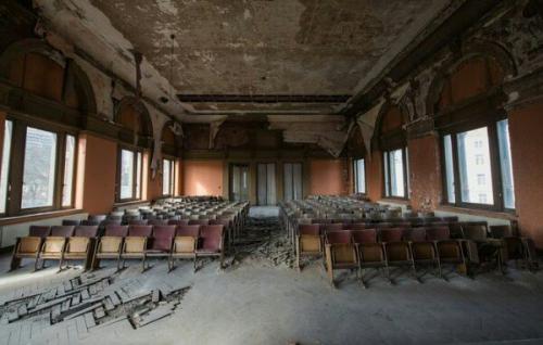 Забытые трупы братьев наших меньших. 05