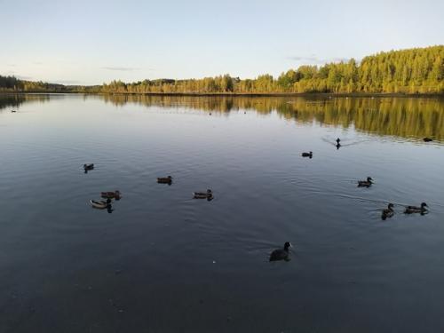 Второй день в псковском крае. 06