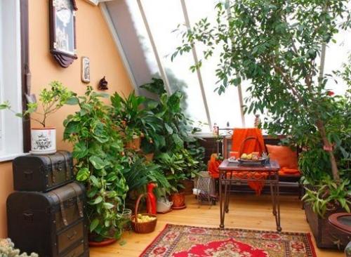 Зимний сад на лоджии. 06