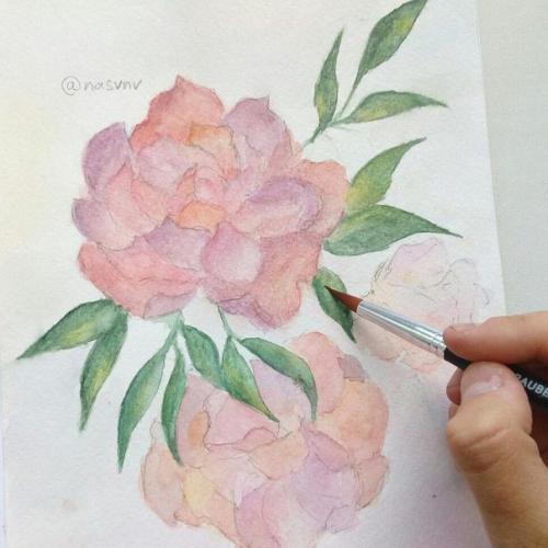 Полезные комнатные растения? 01