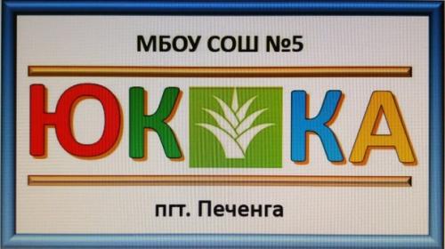 ШР Юкка, или удивительный цветок.