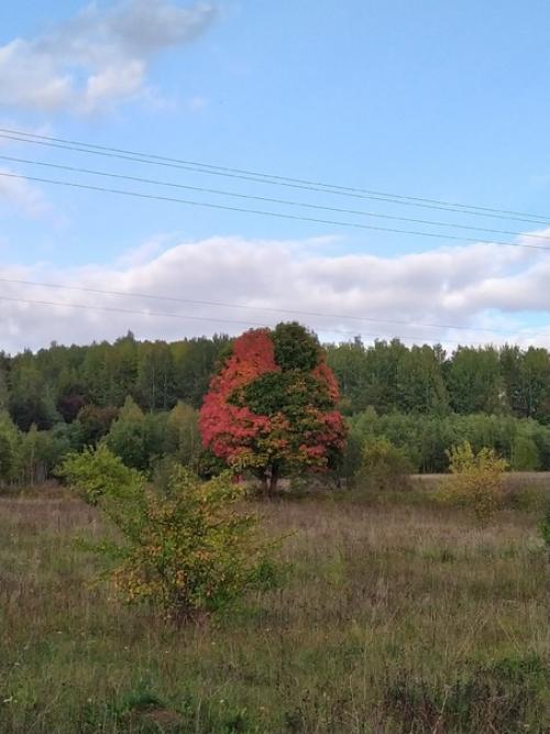 Второй день в псковском крае. 04