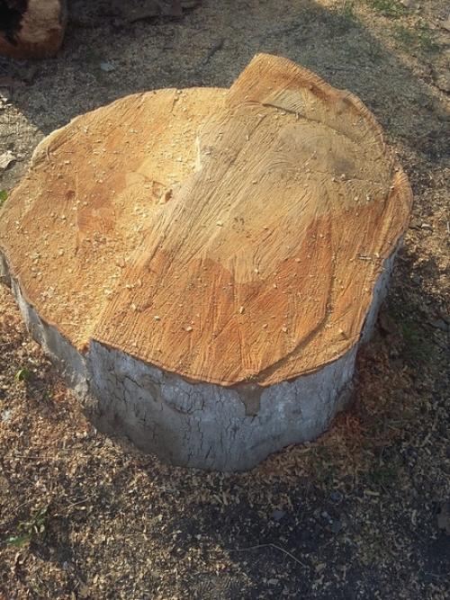 О с Т а Н о в и т е! 02