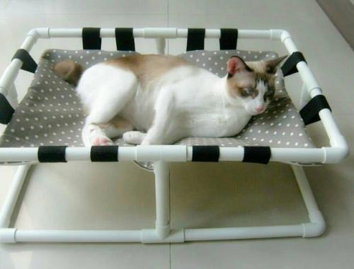 Мир меняется, меняется с ним и вид лежанок для питомцев. 06