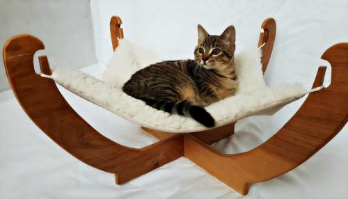 Мир меняется, меняется с ним и вид лежанок для питомцев. 08