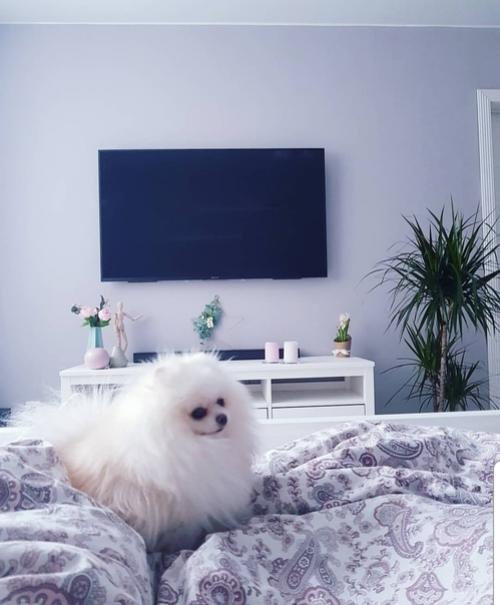 Приятная атмосфера в квартире нашей подписчицы. 05