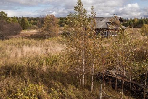 Прямаяречь.  Даниил Зинченко - о прогулке по заброшенной деревне выставка: 07