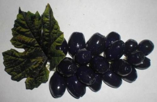 Мы делаем виноградную кисть из желудей. 06