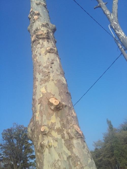 О с Т а Н о в и т е! 01