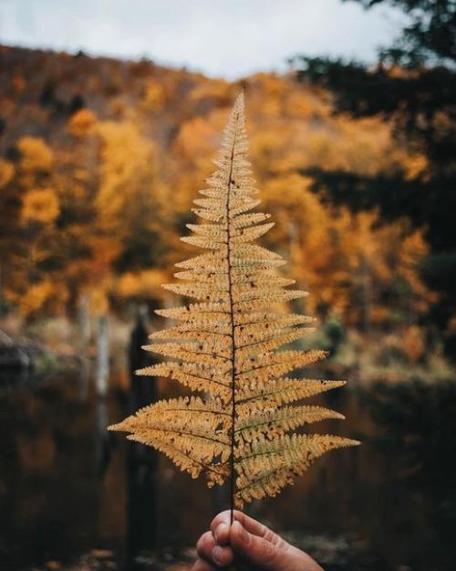 Мы все хотим, чтобы нас баловали мужчины, баловала жизнь. 05 Мы все хотим, чтобы нас баловали мужчины, баловала жизнь. 05