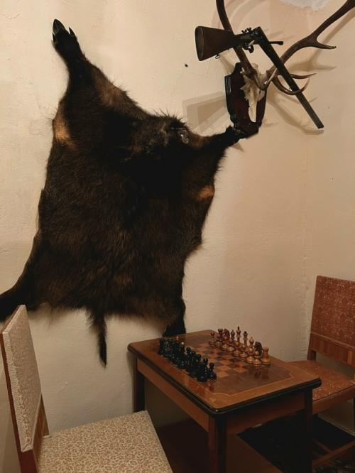 Царский охотничий домик. 01