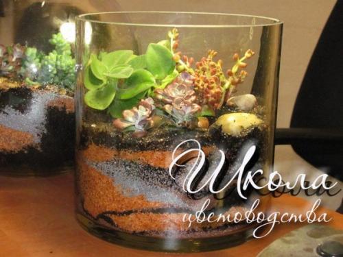 Флорариумы.  Флораримуы Входят в моду. 09
