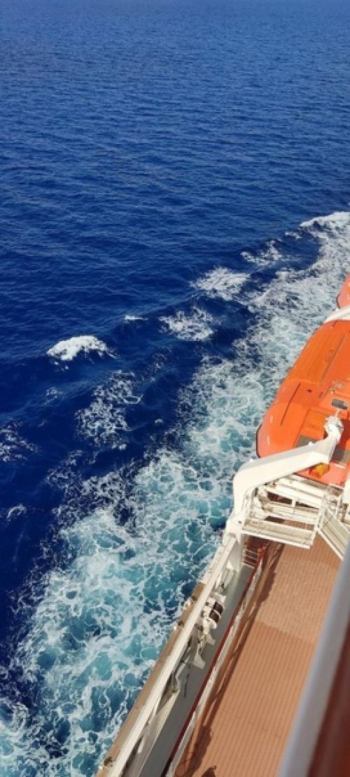 Роскошный итальянский круизный лайнер - MSC Musica. 07