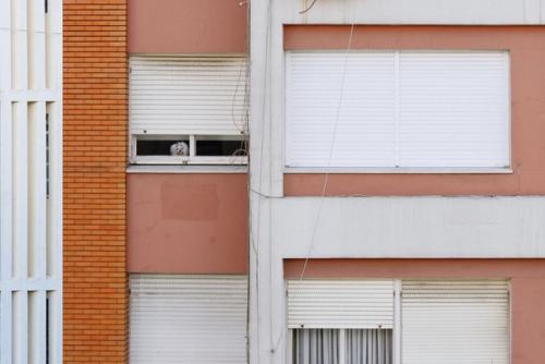 Перспектива - это все. 01