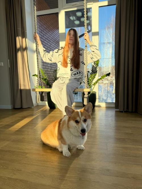 Не просто качели, а интерьерный хит! 07