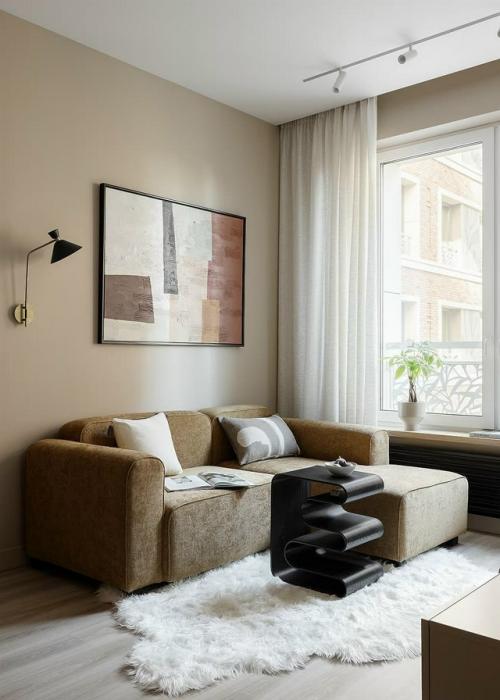 Интерьер однокомнатной квартиры 50 м 2 в Санкт-петербурге. 01