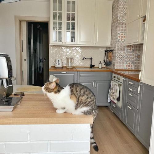 Невероятно уютный вариант интерьера небольшой квартиры в скандинавском стиле. 02