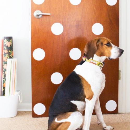 10 сумасшедших DIY - идей для осенних вечеров. 06