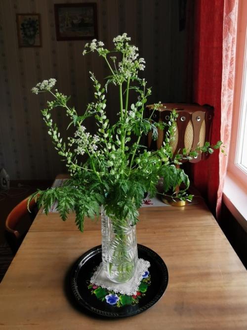 Интерьер родительского дома … того самого, который Начало Начал. 05