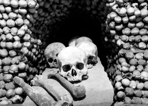 Куда пошел возлюбленный твой? 05