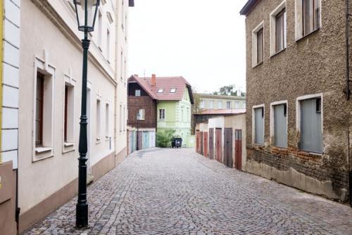 Куда пошел возлюбленный твой? 01