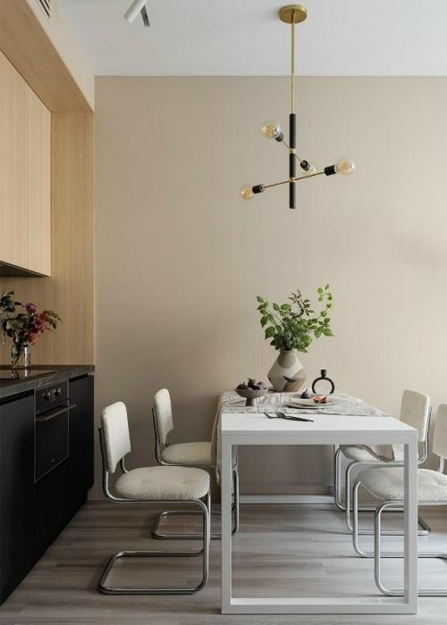 Интерьер однокомнатной квартиры 50 м 2 в Санкт-петербурге. 04