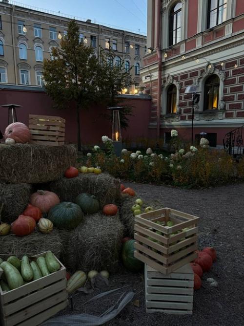 Доча анастасия. Дом мясникова. 07