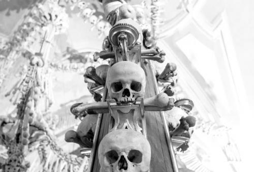 Куда пошел возлюбленный твой? 06