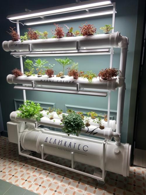 Давно не выкладывала малыша николя. 03