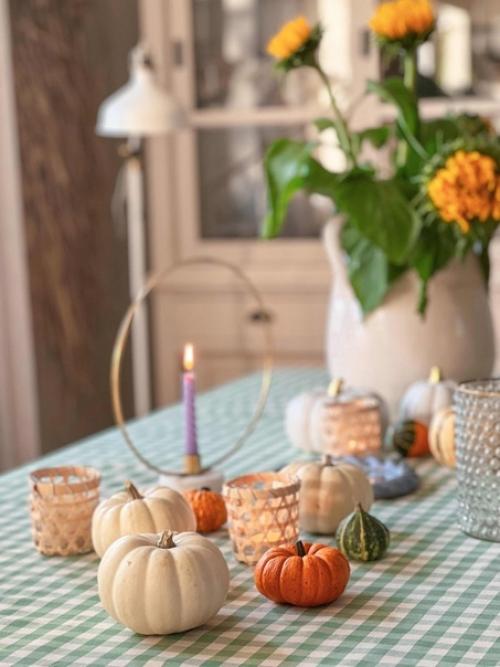 Добро пожаловать в красивый кирпичный дом немки рези на нижнем Рейне у озера. 04