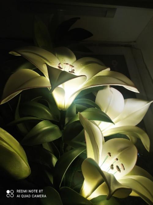 Ещё одна светящаяся лилия в моей мастерской расцвела. 05