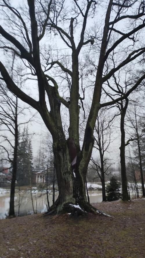 Всеволожский Маршрут с П. Н. Гордеевым (экскурсия от Петербурга до Всеволожска). 06