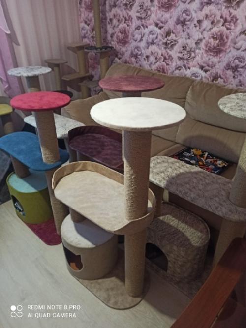 Привет, всем!  Предлагаю вашему вниманию новую коллекцию когтеточек. 06